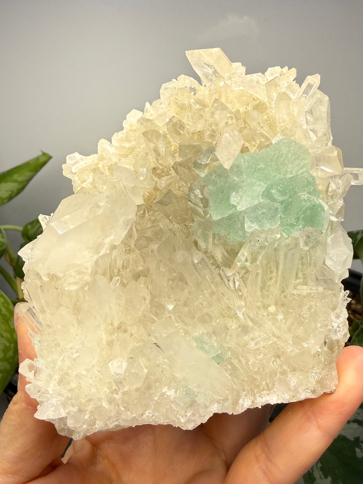 Fluorite on Quartz- Pasto Bueno Mining District, Pampas District, Pallasca Province, Áncash, Peru