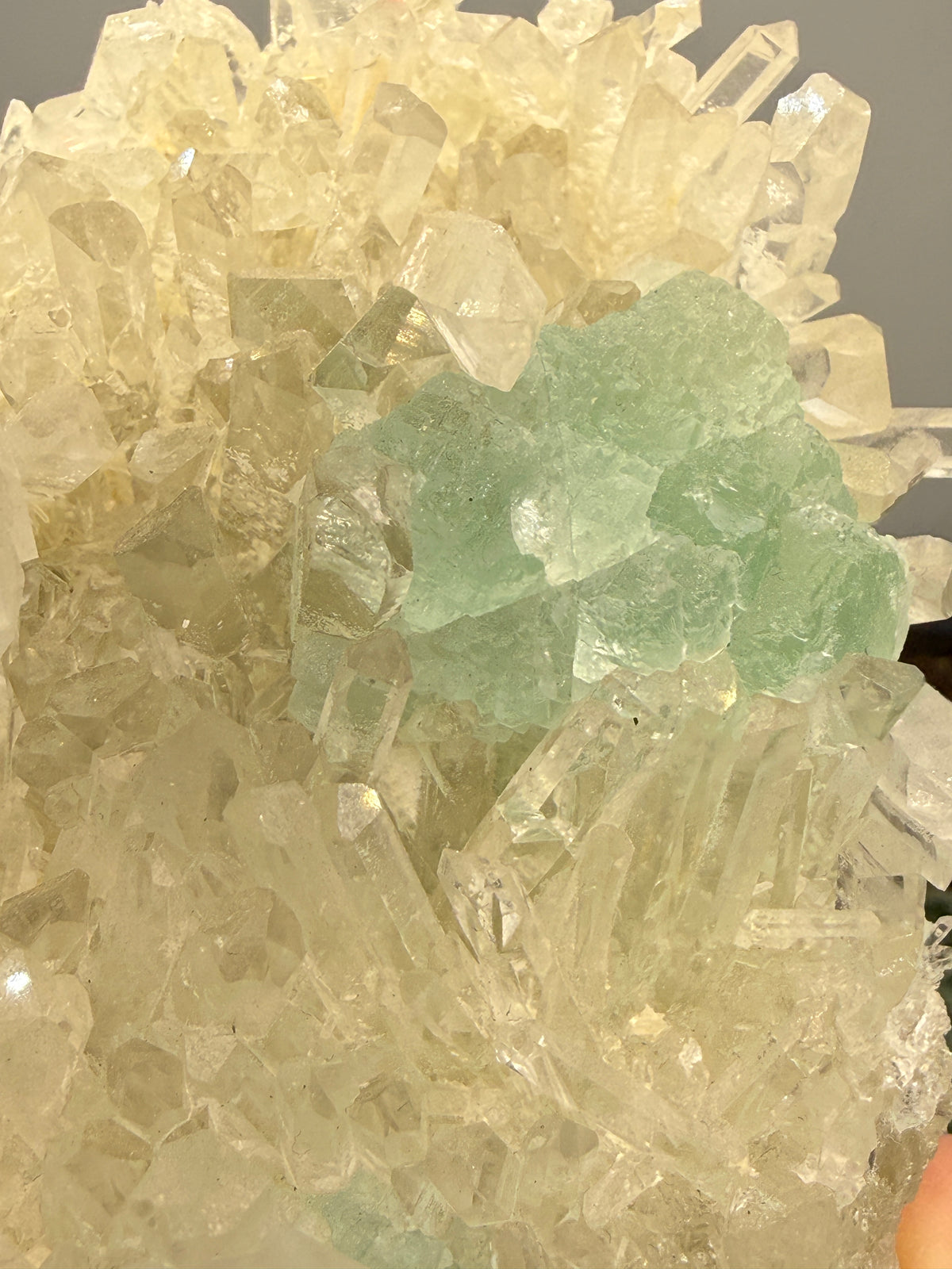 Fluorite on Quartz- Pasto Bueno Mining District, Pampas District, Pallasca Province, Áncash, Peru