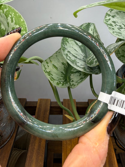 Burmese Jade Bangle – 8mm Wide – 58mm Diameter (Small)