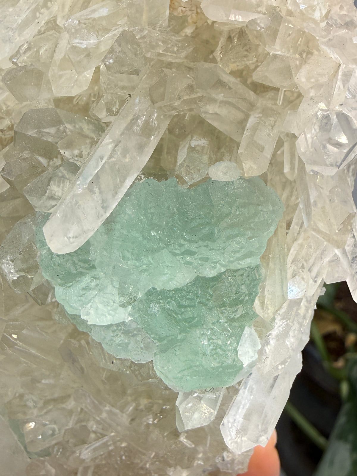 Fluorite on Quartz- Pasto Bueno Mining District, Pampas District, Pallasca Province, Áncash, Peru