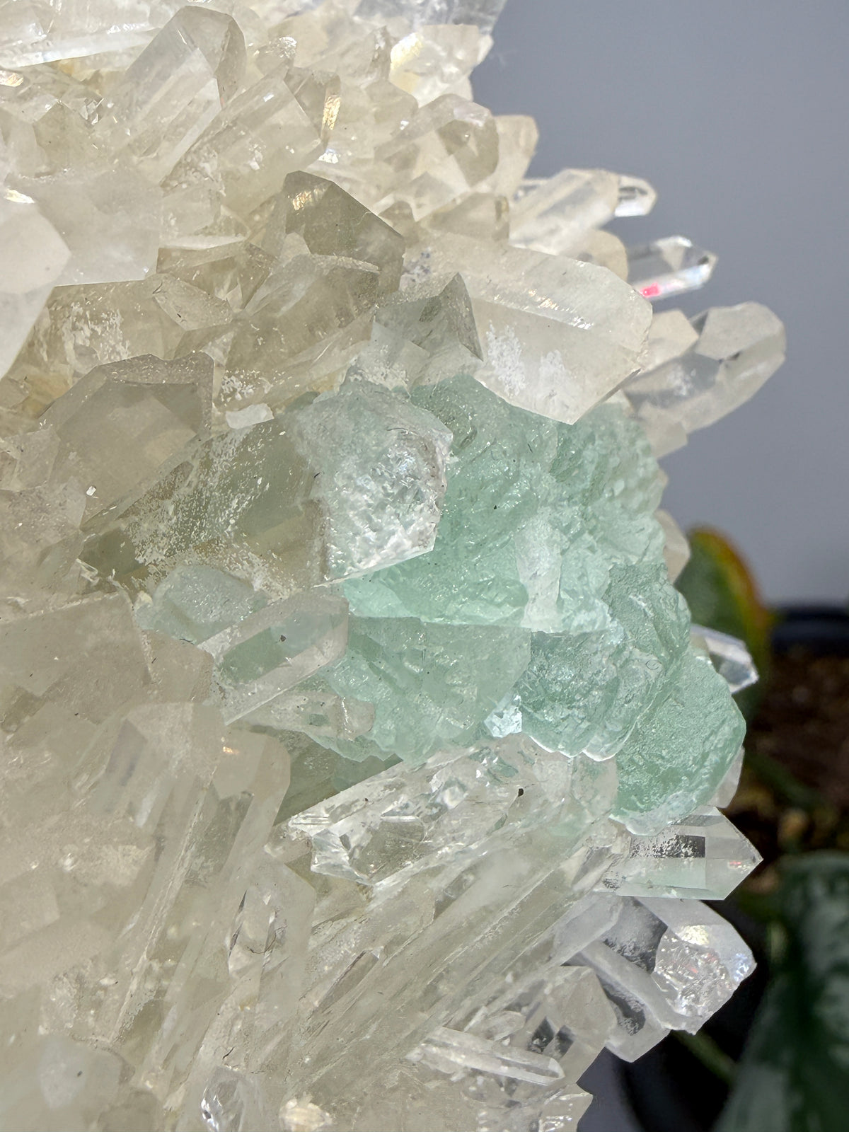 Fluorite on Quartz- Pasto Bueno Mining District, Pampas District, Pallasca Province, Áncash, Peru