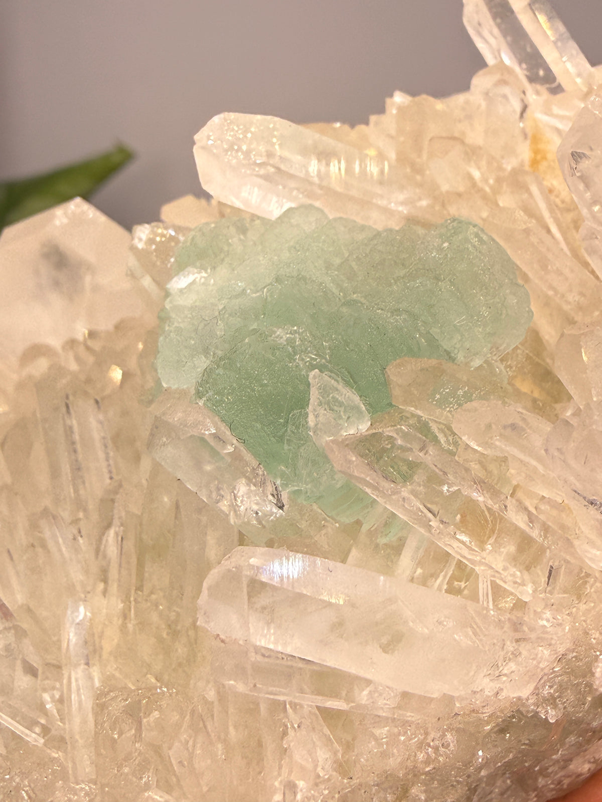 Fluorite on Quartz- Pasto Bueno Mining District, Pampas District, Pallasca Province, Áncash, Peru