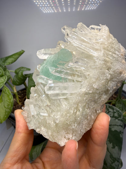 Fluorite on Quartz- Pasto Bueno Mining District, Pampas District, Pallasca Province, Áncash, Peru