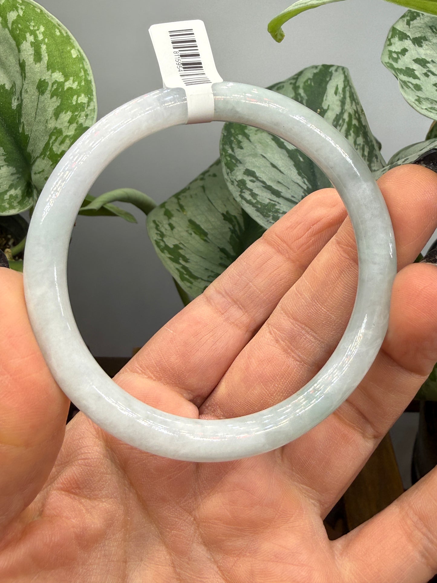 Burmese Jade Bangle – 8mm Wide – 59mm Diameter (Small/Medium)