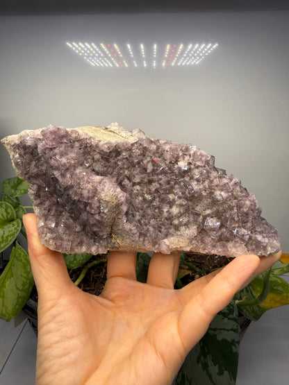 Fluorite- Greenlaws Mine, Daddry Shield, Weardale, County Durham, England