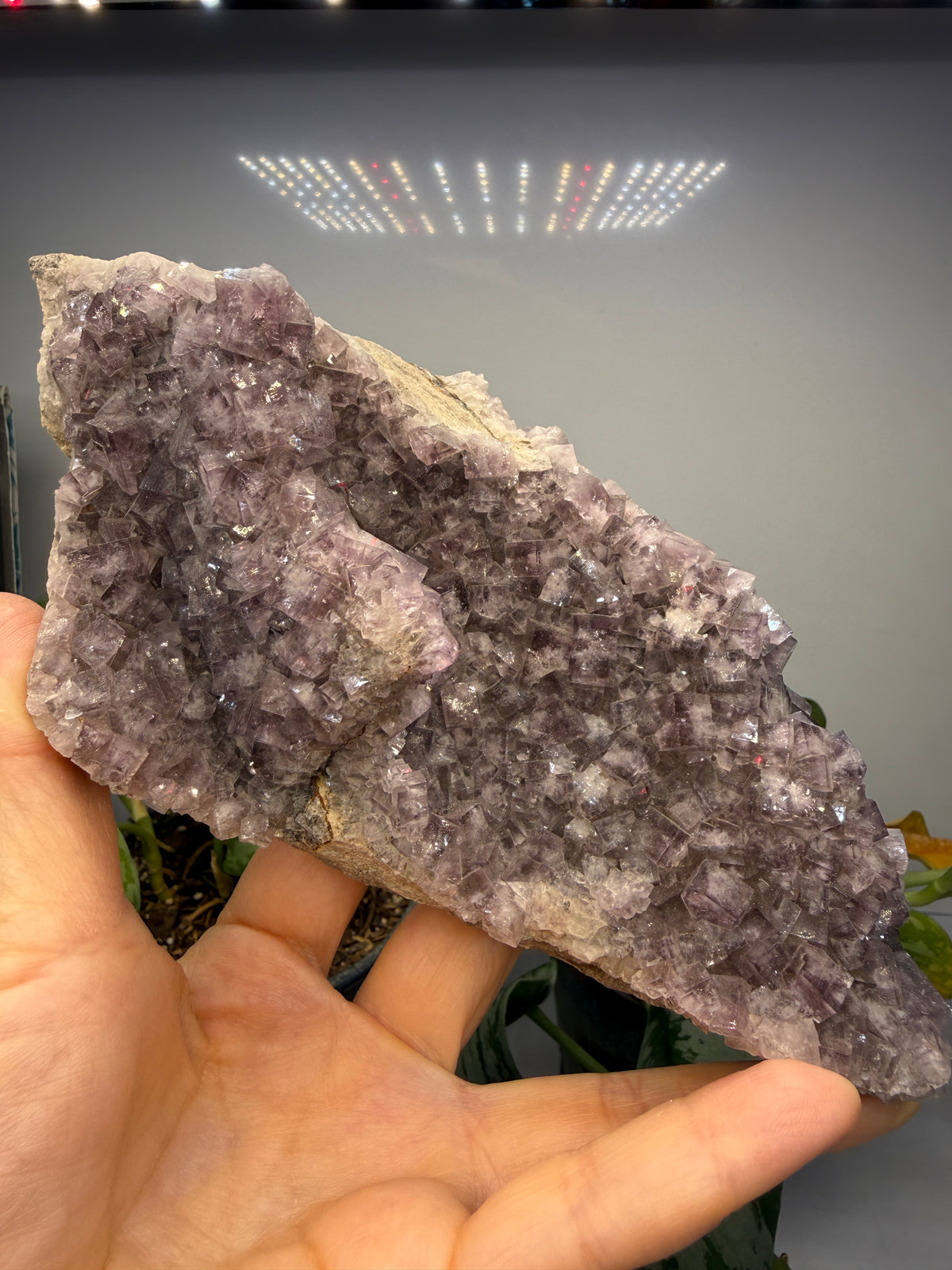 Fluorite- Greenlaws Mine, Daddry Shield, Weardale, County Durham, England