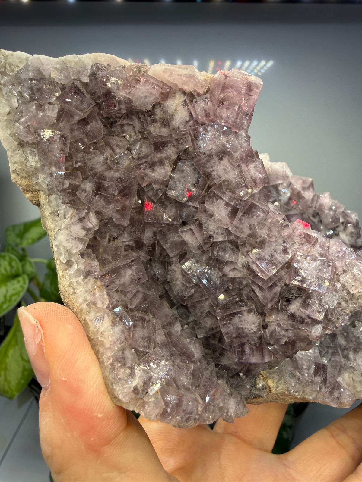Fluorite- Greenlaws Mine, Daddry Shield, Weardale, County Durham, England