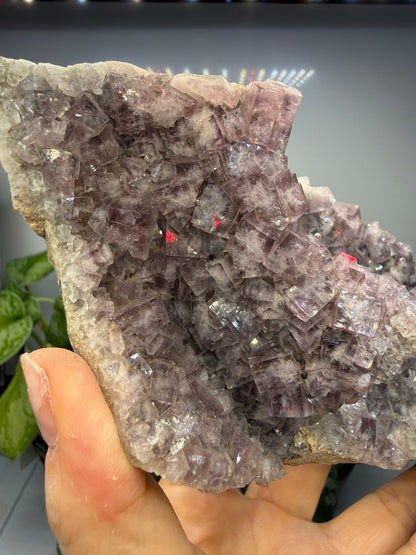 Fluorite- Greenlaws Mine, Daddry Shield, Weardale, County Durham, England