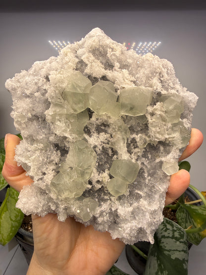 Fluorite with Quartz- Hexigten Banner, Chifeng, Inner Mongolia, China