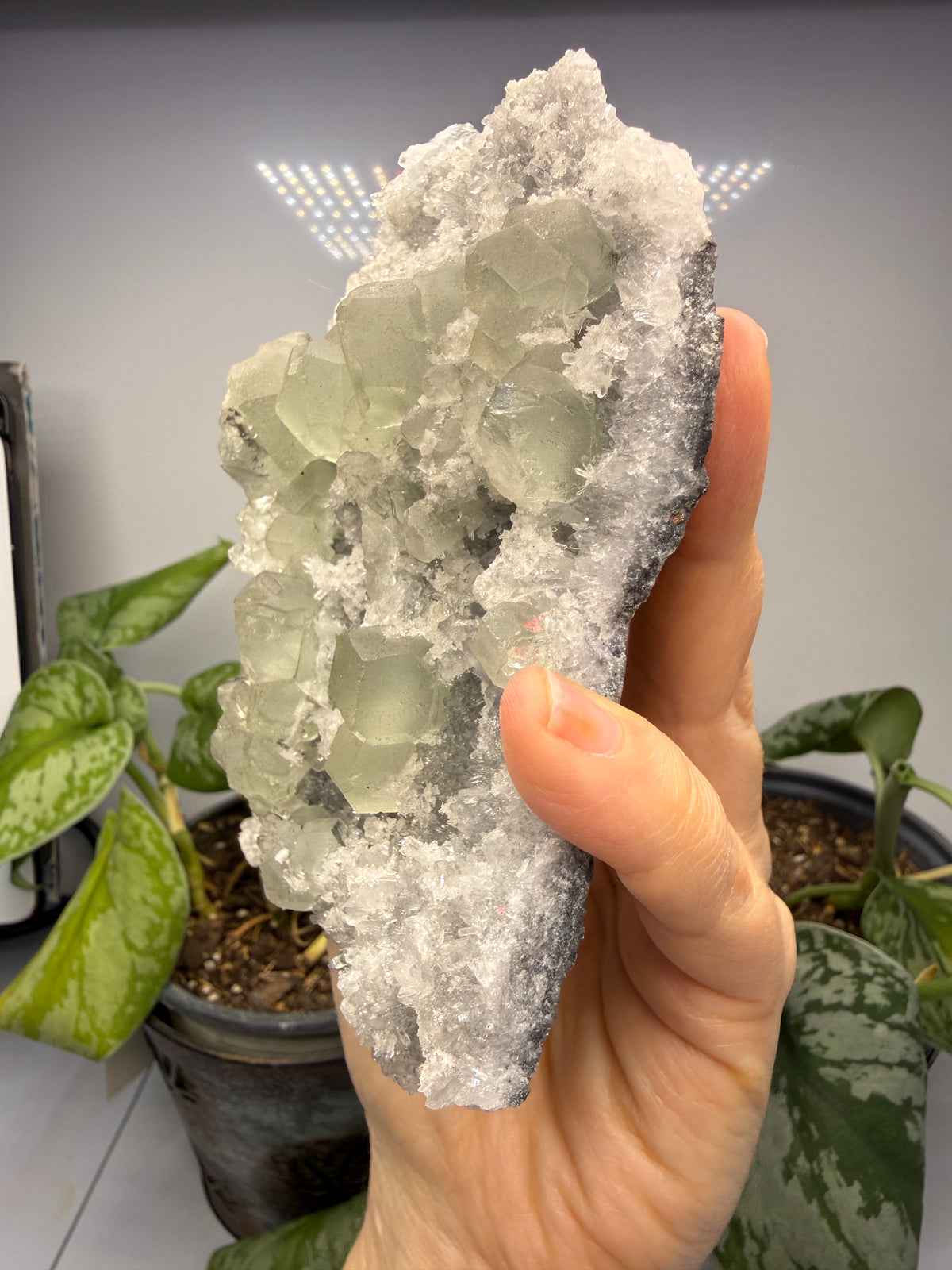 Fluorite with Quartz- Hexigten Banner, Chifeng, Inner Mongolia, China