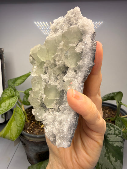 Fluorite with Quartz- Hexigten Banner, Chifeng, Inner Mongolia, China