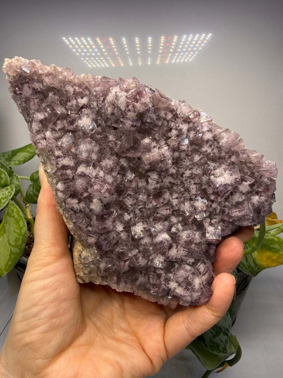 Fluorite- “The Ax”, Greenlaws Mine, Daddry Shield, Weardale, County Durham, England