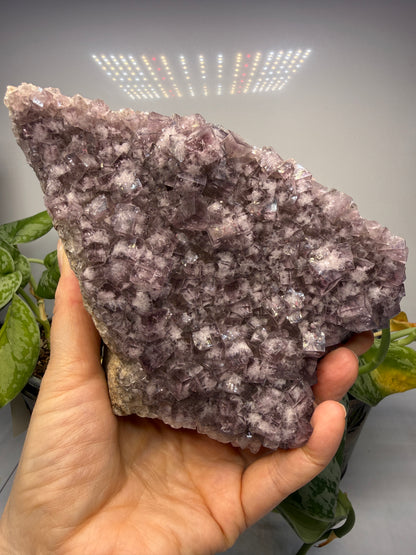 Fluorite- “The Ax”, Greenlaws Mine, Daddry Shield, Weardale, County Durham, England