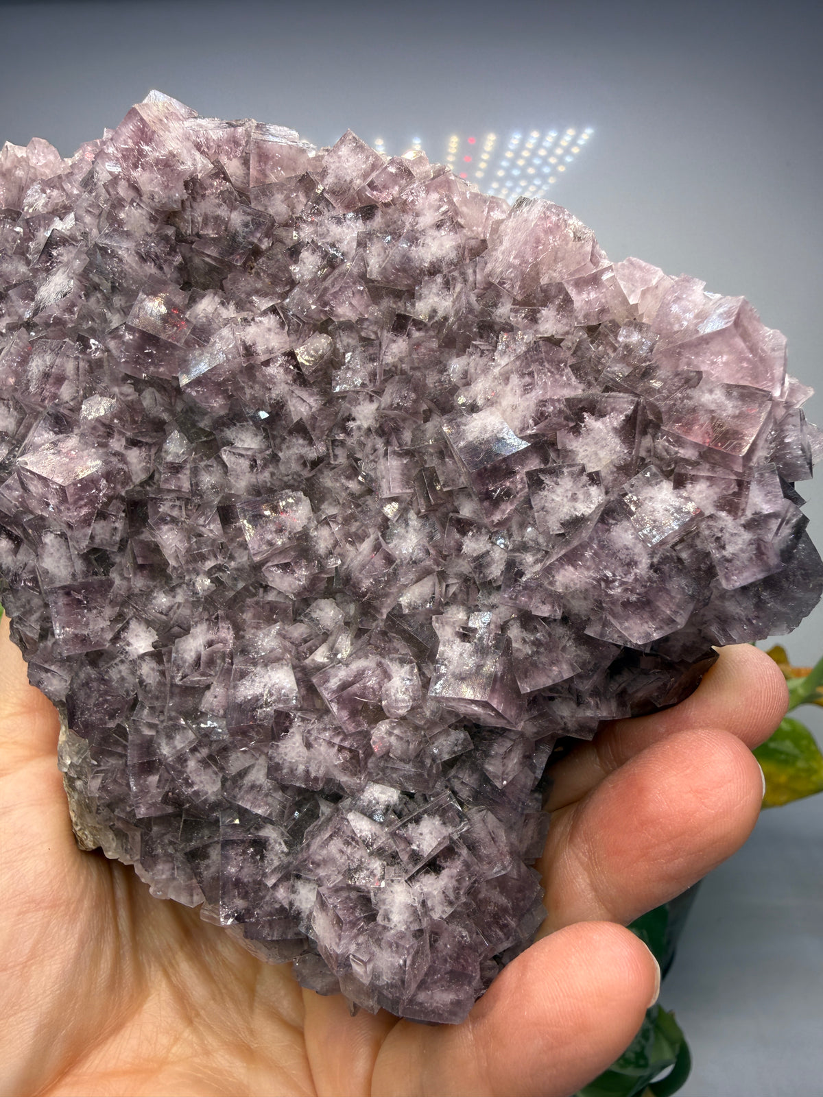 Fluorite- “The Ax”, Greenlaws Mine, Daddry Shield, Weardale, County Durham, England