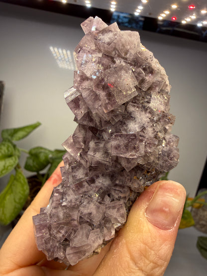 Fluorite- “The Ax”, Greenlaws Mine, Daddry Shield, Weardale, County Durham, England