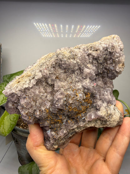 Fluorite- “The Ax”, Greenlaws Mine, Daddry Shield, Weardale, County Durham, England