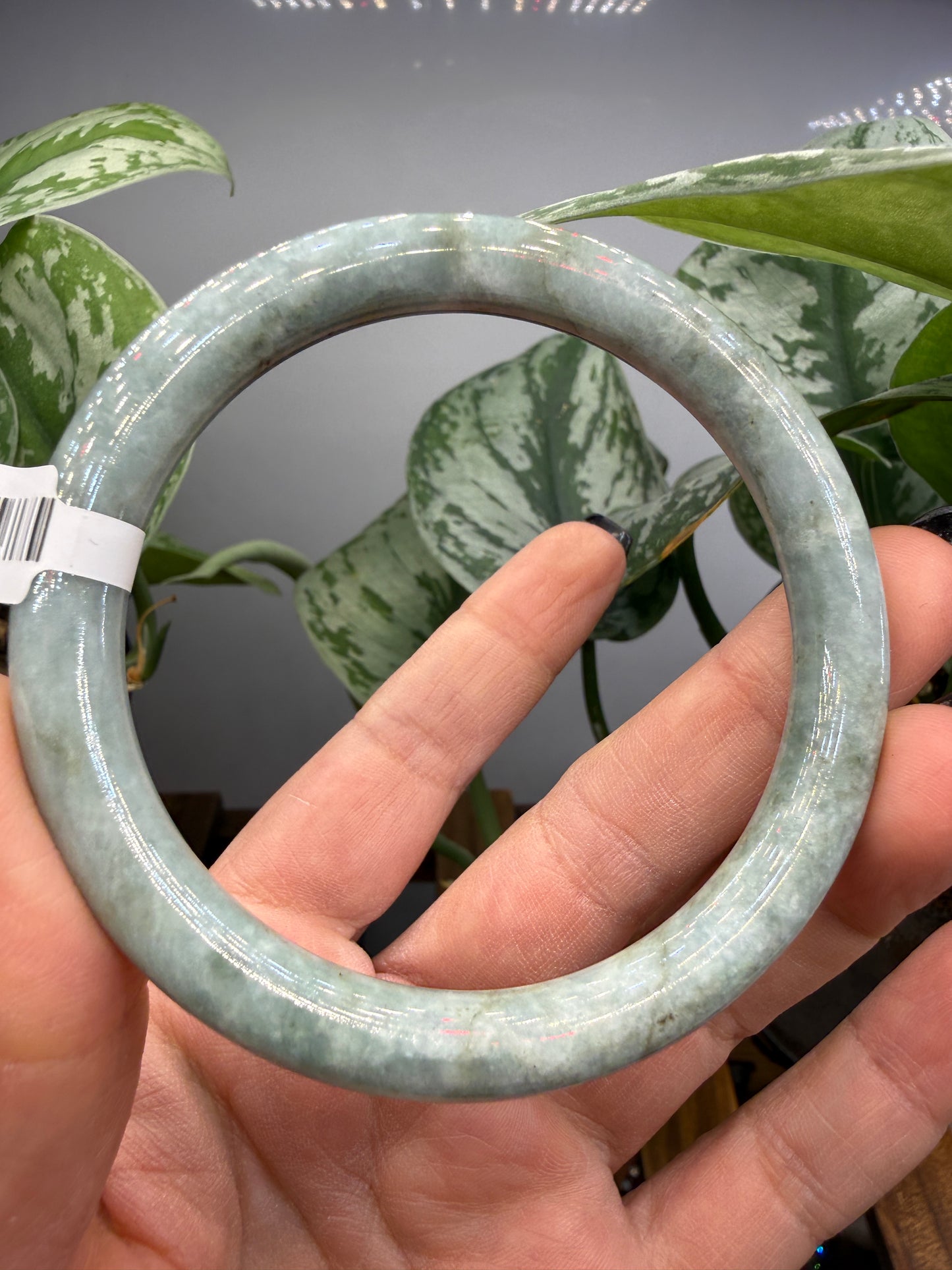 Burmese Jade Bangle – 8mm Wide – 61mm Diameter (Medium)