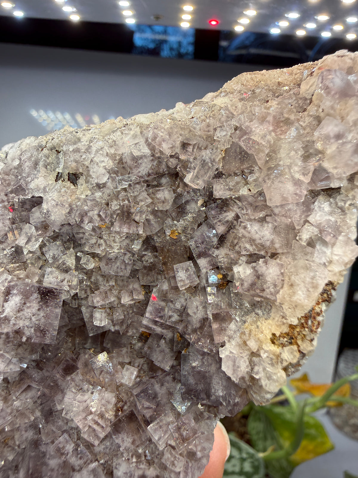 Fluorite- “The Ax”, Greenlaws Mine, Daddry Shield, Weardale, County Durham, England