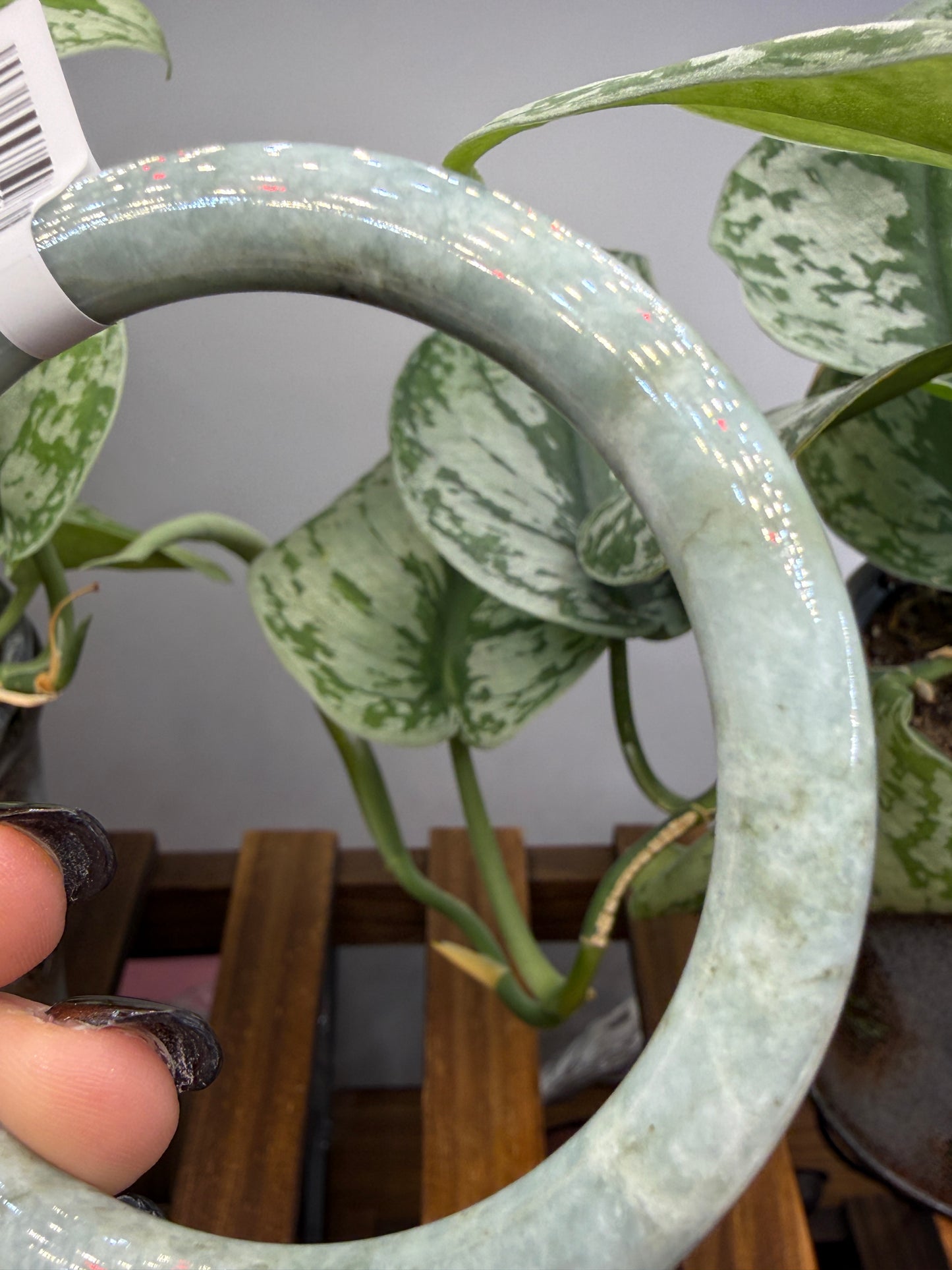 Burmese Jade Bangle – 8mm Wide – 61mm Diameter (Medium)