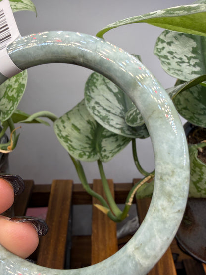 Burmese Jade Bangle – 8mm Wide – 61mm Diameter (Medium)