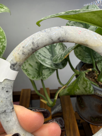 Burmese Jade Bangle – 8mm Wide – 61mm Diameter (Medium)