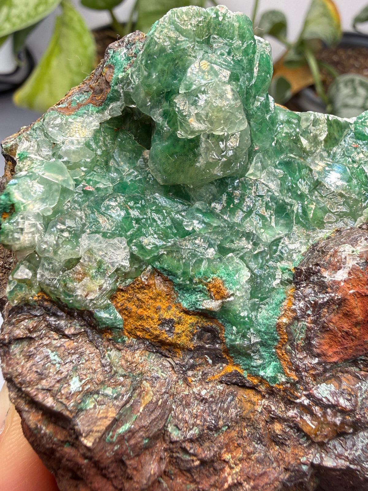 Calcite over Malachite- Old Dominion Mine, Globe, Gila County, Arizona, USA