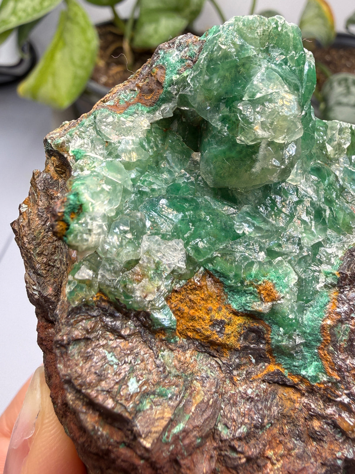 Calcite over Malachite- Old Dominion Mine, Globe, Gila County, Arizona, USA