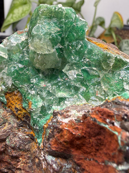 Calcite over Malachite- Old Dominion Mine, Globe, Gila County, Arizona, USA