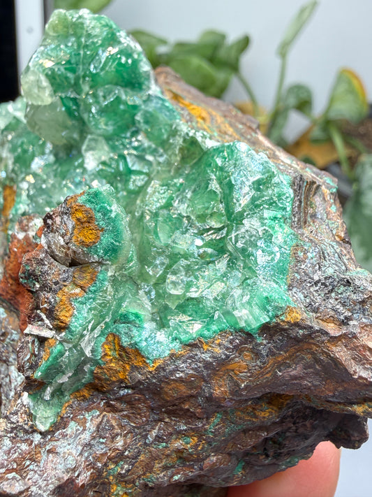 Calcite over Malachite- Old Dominion Mine, Globe, Gila County, Arizona, USA