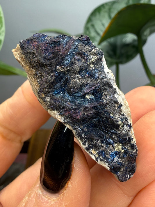 Covellite- East Colusa Mine, Butte Mining District, Silver Bow County, Montana, USA
