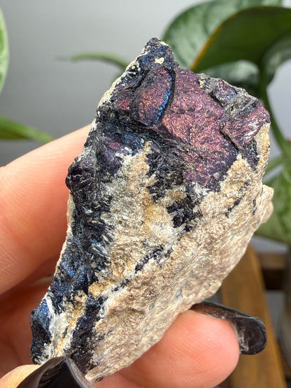 Covellite- East Colusa Mine, Butte Mining District, Silver Bow County, Montana, USA