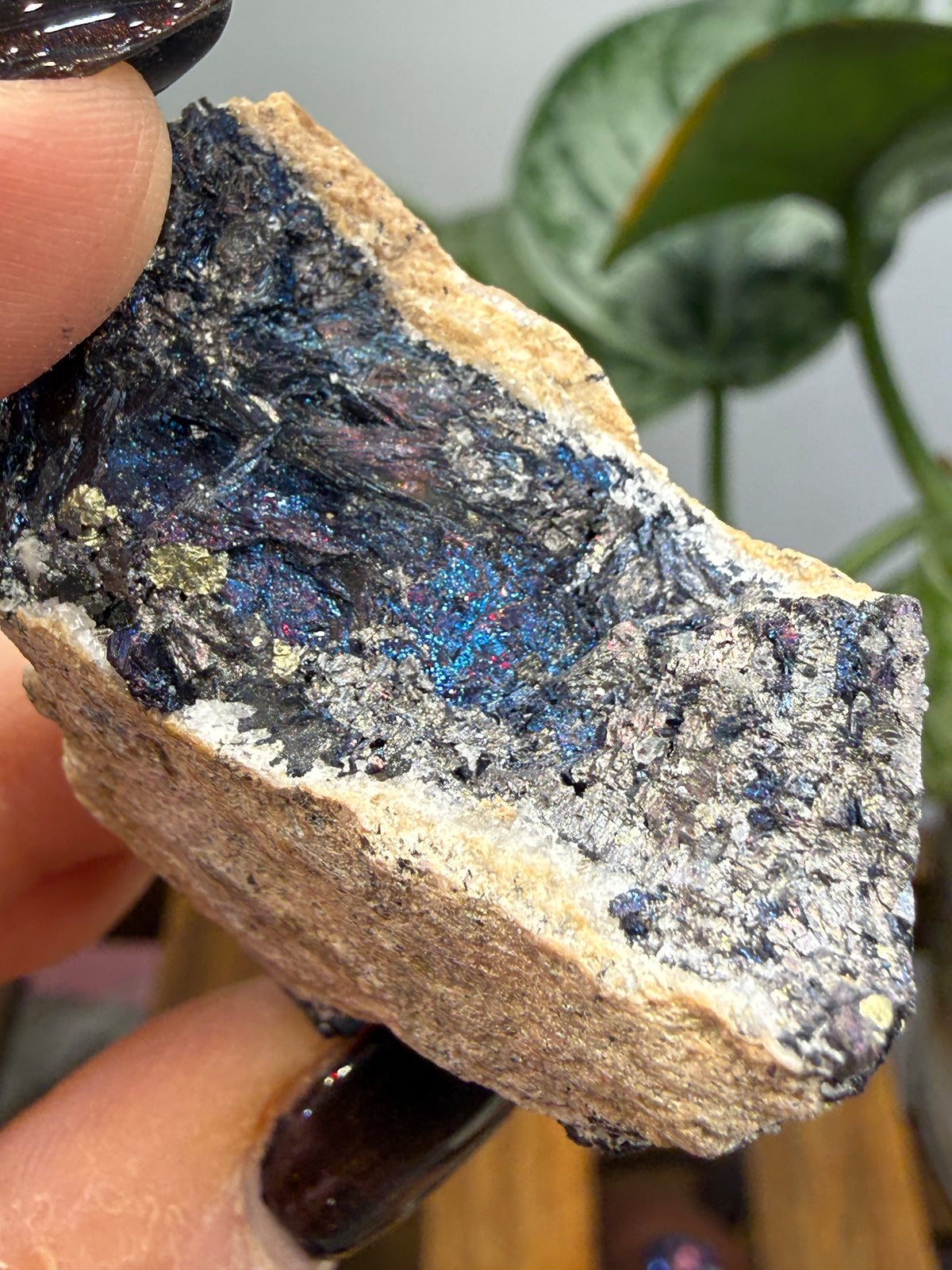 Covellite- East Colusa Mine, Butte Mining District, Silver Bow County, Montana, USA