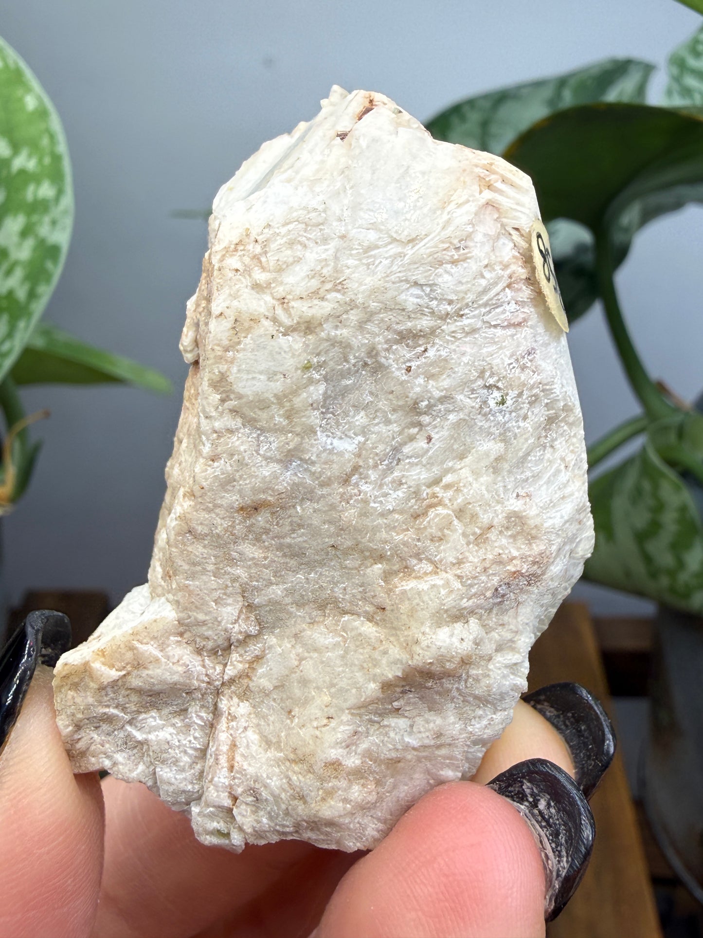Cleavelandite- Beryl Pit, Lyndoch Township, Brudenell-Lyndoch-and-Raglan, Renfrew Co, Ontario, Canada