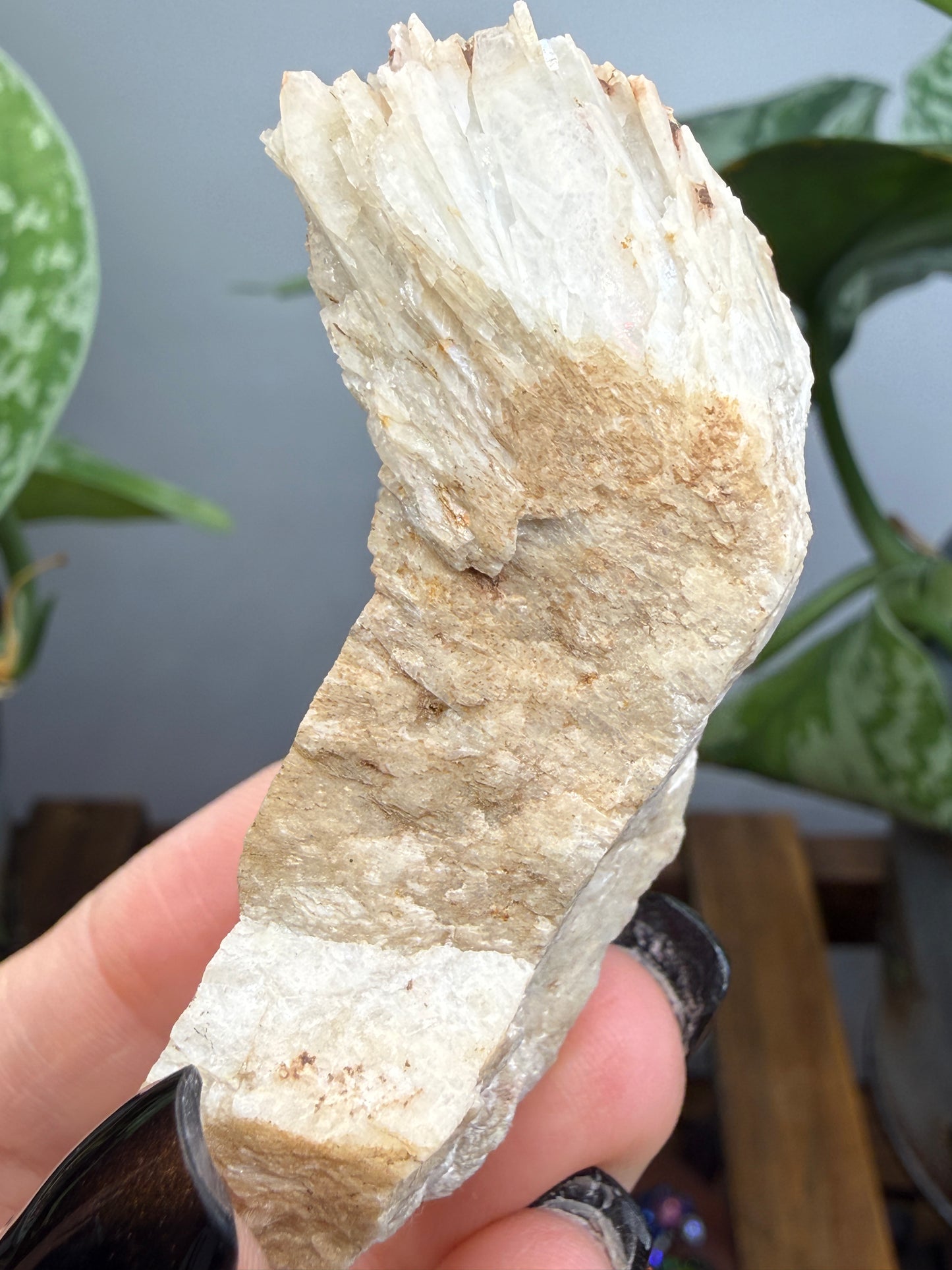 Cleavelandite- Beryl Pit, Lyndoch Township, Brudenell-Lyndoch-and-Raglan, Renfrew Co, Ontario, Canada