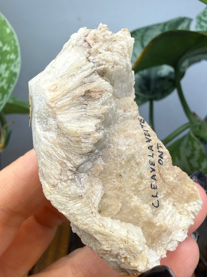 Cleavelandite- Beryl Pit, Lyndoch Township, Brudenell-Lyndoch-and-Raglan, Renfrew Co, Ontario, Canada