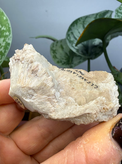 Cleavelandite- Beryl Pit, Lyndoch Township, Brudenell-Lyndoch-and-Raglan, Renfrew Co, Ontario, Canada