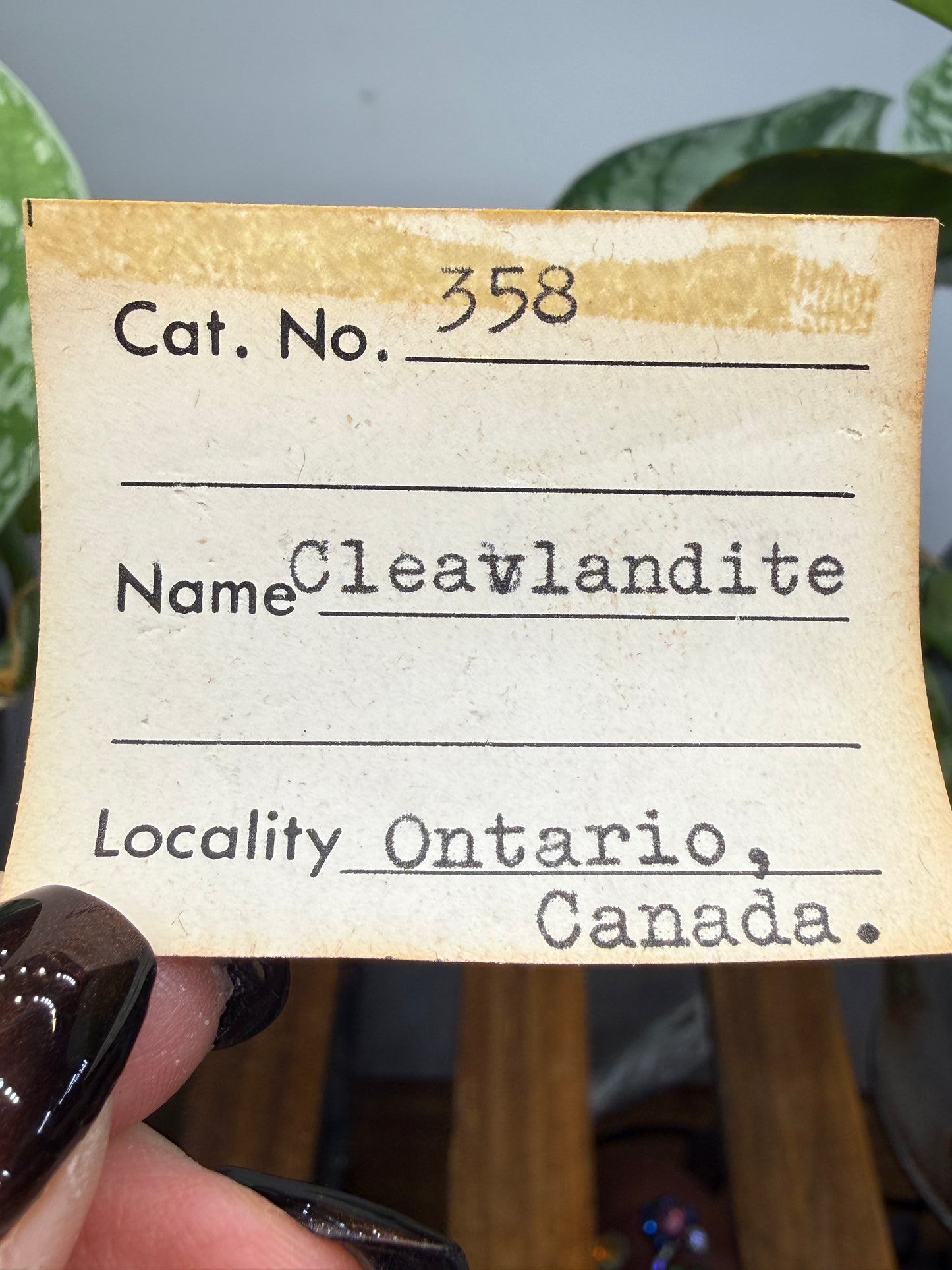 Cleavelandite- Beryl Pit, Lyndoch Township, Brudenell-Lyndoch-and-Raglan, Renfrew Co, Ontario, Canada