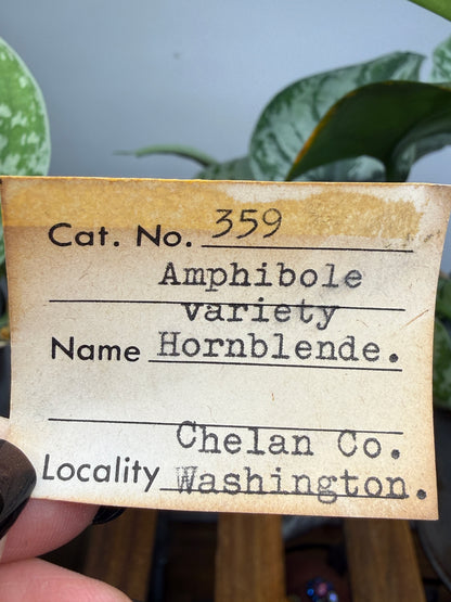 Amphibole, Hornblende- Chelan County, Washington, USA