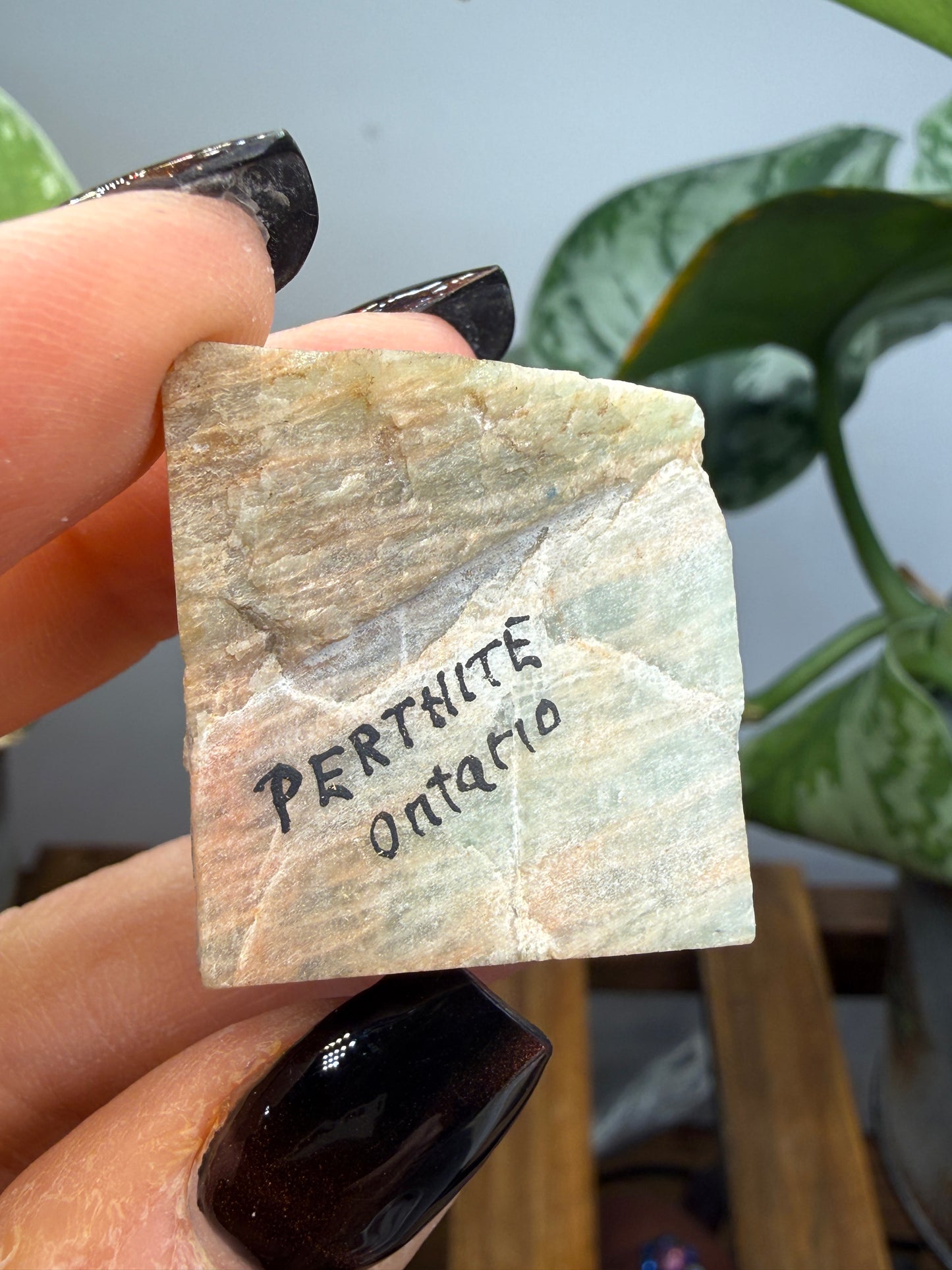 Perthite- Perthite occurrence, North Burgess Township, Lanark County, Ontario, Canada