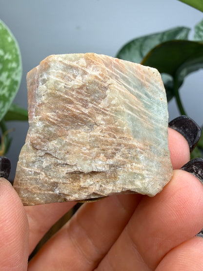 Perthite- Perthite occurrence, North Burgess Township, Lanark County, Ontario, Canada