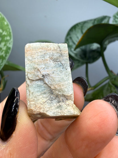 Perthite- Perthite occurrence, North Burgess Township, Lanark County, Ontario, Canada