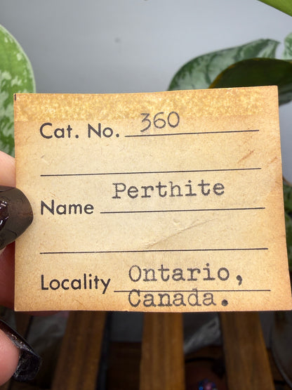 Perthite- Perthite occurrence, North Burgess Township, Lanark County, Ontario, Canada