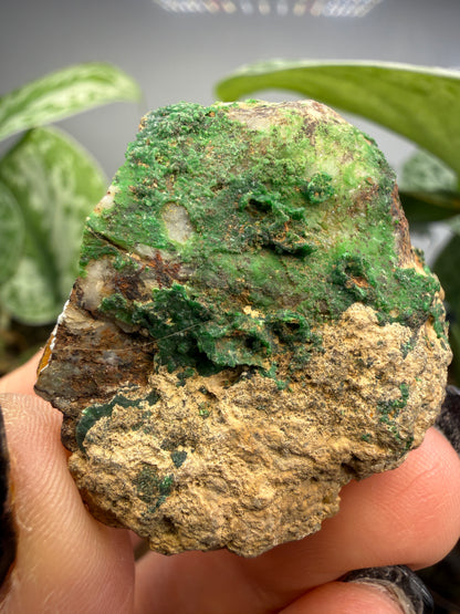 Conichalcite- Jaub Co, Utah