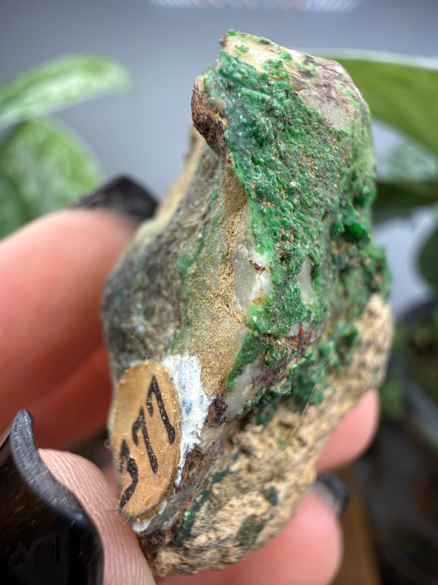 Conichalcite- Jaub Co, Utah