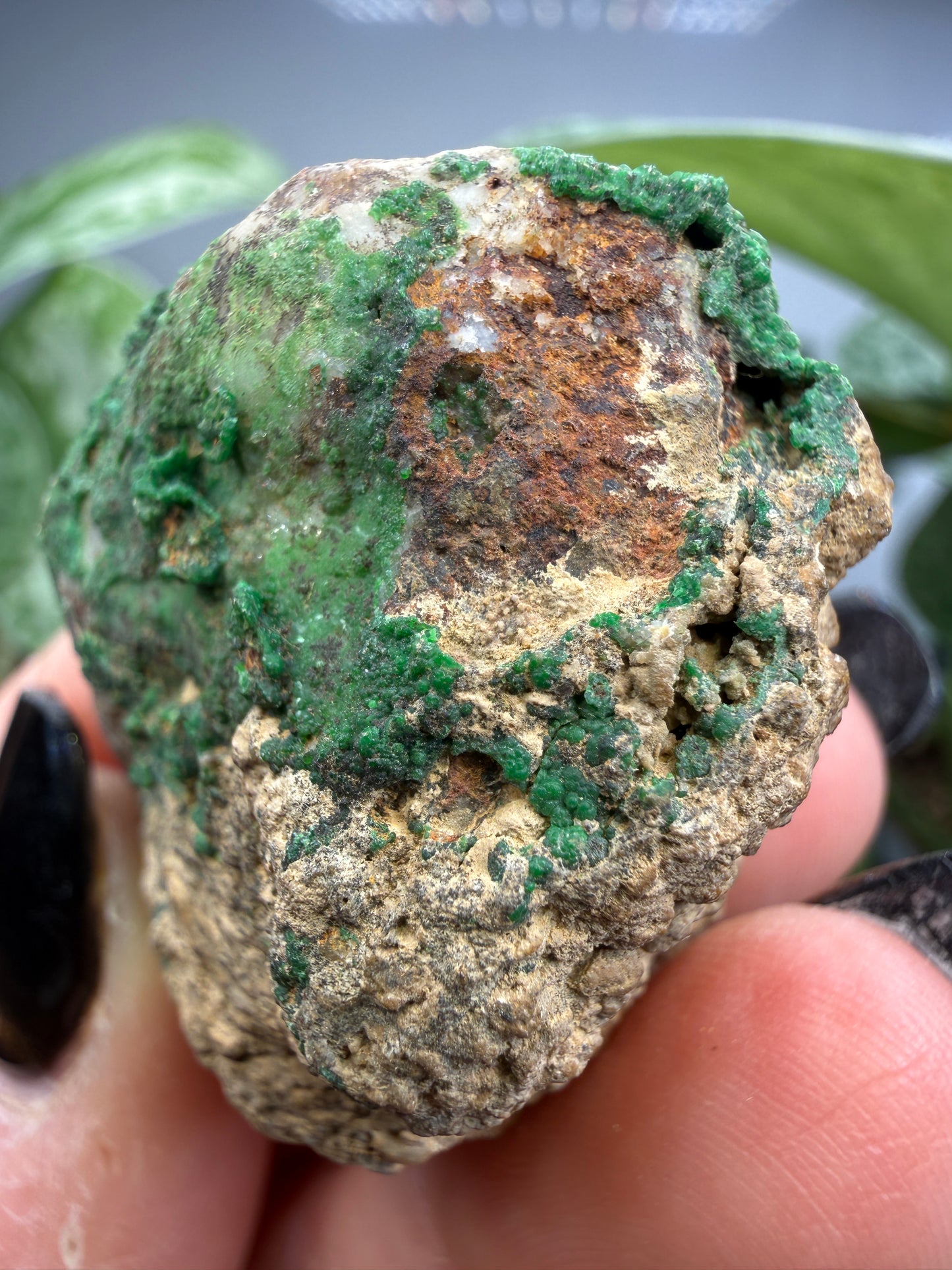 Conichalcite- Jaub Co, Utah