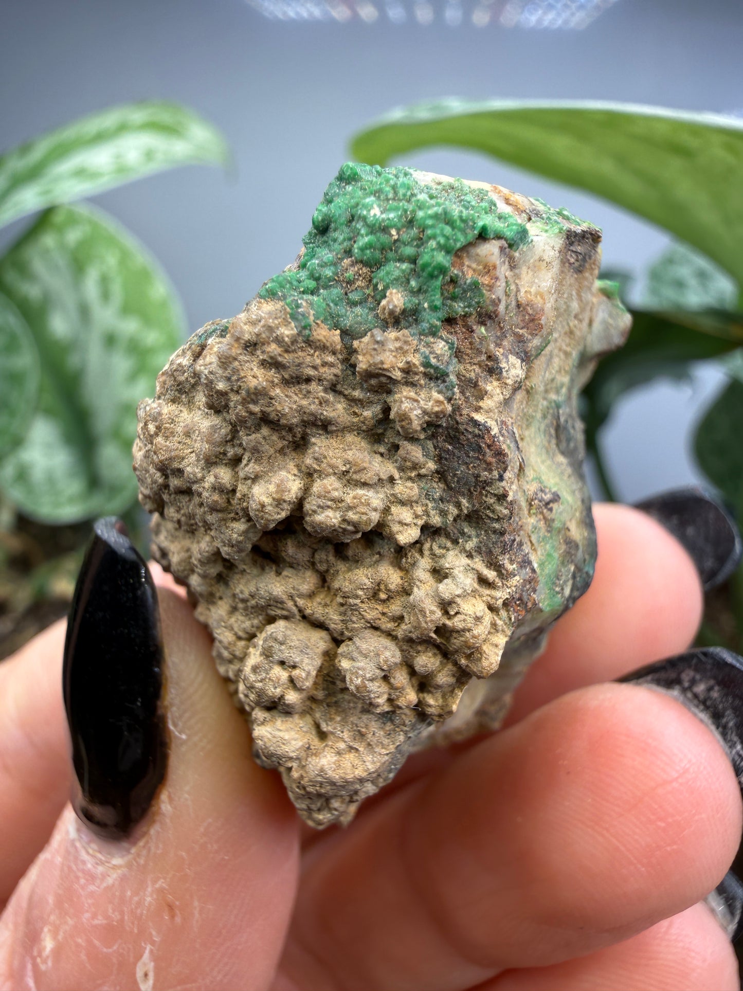 Conichalcite- Jaub Co, Utah