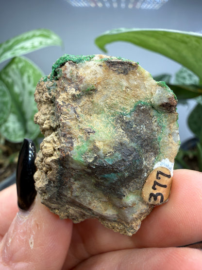 Conichalcite- Jaub Co, Utah