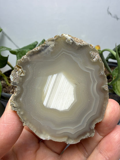Polished Banded Agate Slice