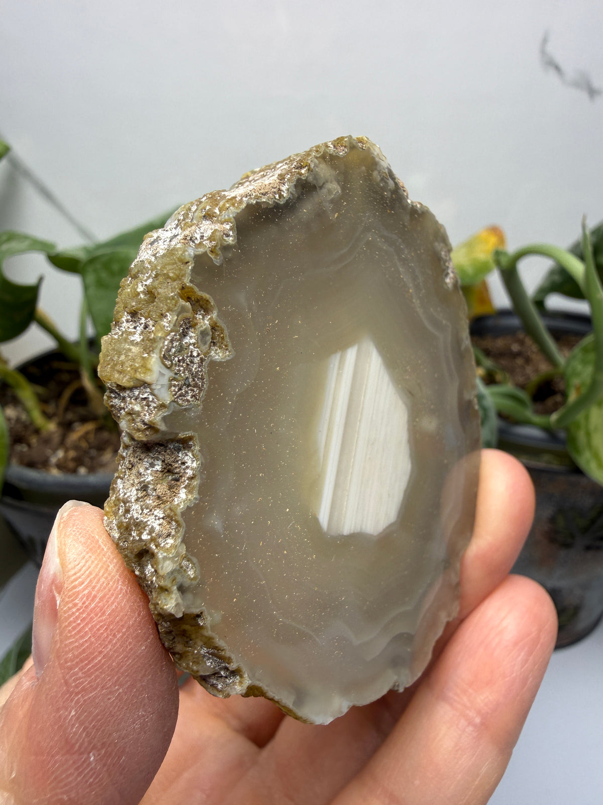 Polished Banded Agate Slice