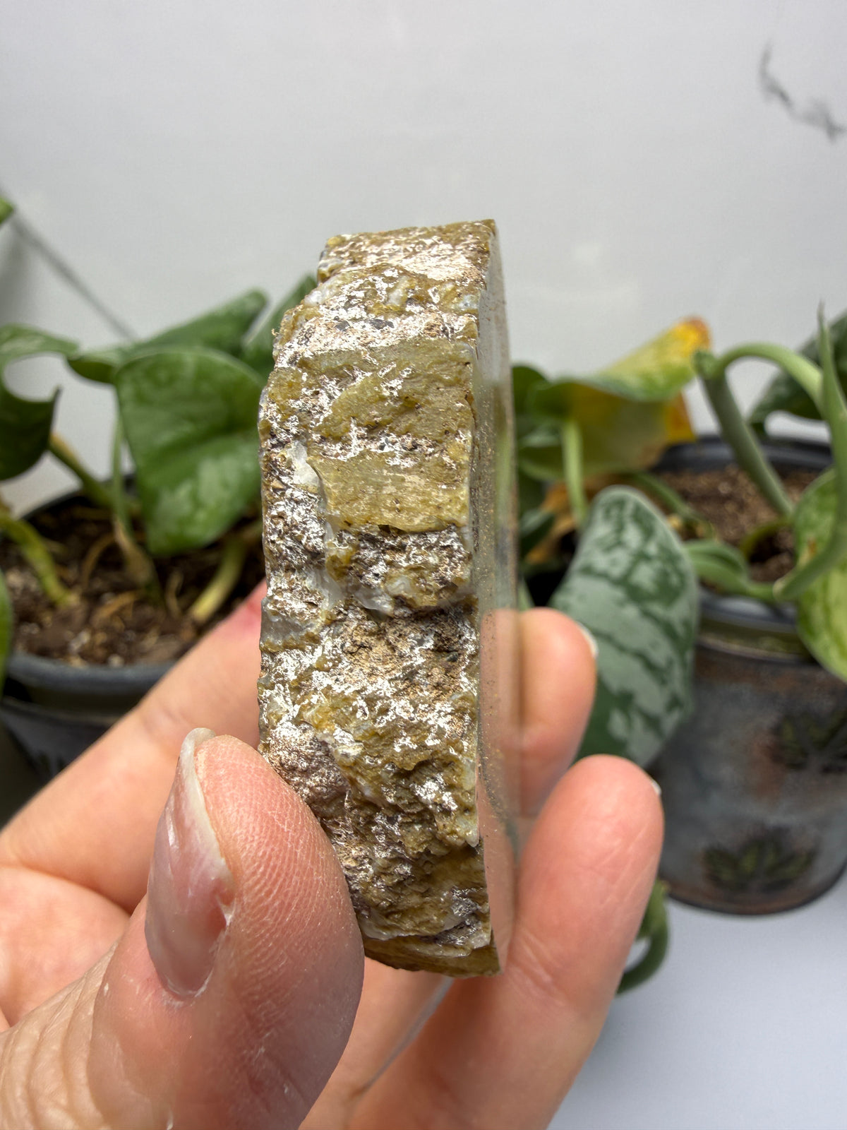 Polished Banded Agate Slice